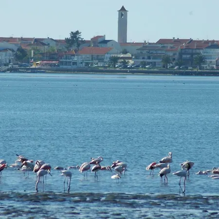 Сasa de vacaciones Casa Dos Amigos - A Luxury In The Nature