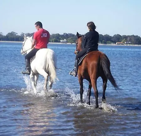 Casa Dos Amigos - A Luxury In The Nature