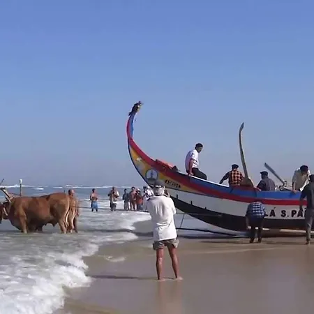 Casa Dos Amigos - A Luxury In The Nature *