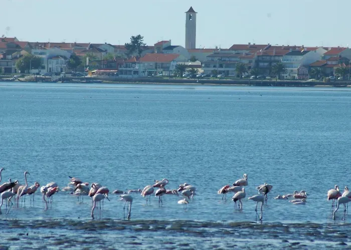 Hébergement de vacances Casa Dos Amigos - A Luxury In The Nature