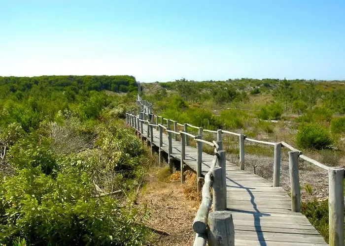 Hébergement de vacances Casa Dos Amigos - A Luxury In The Nature Torreira