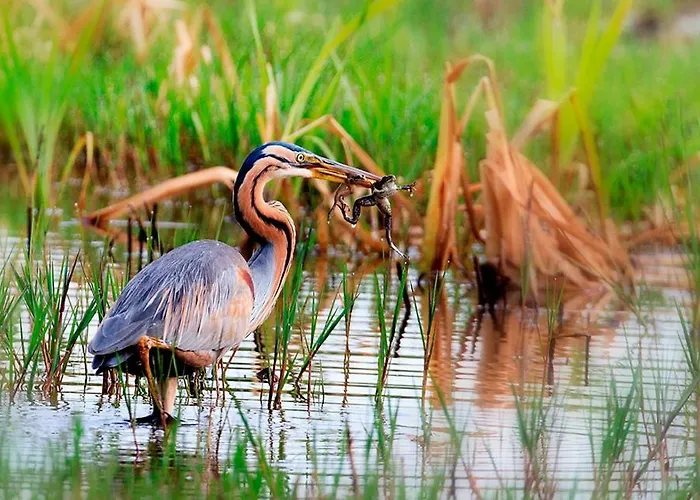 Casa Dos Amigos - A Luxury In The Nature Hébergement de vacances Torreira